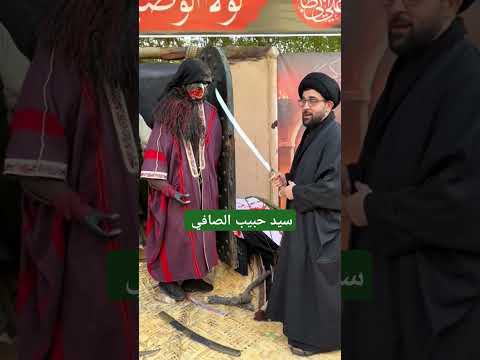 سيد حبيب الصافي