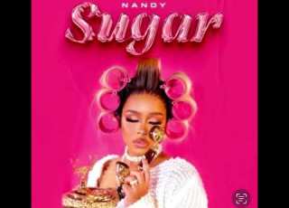 Nandy Sugar Official Music Audio