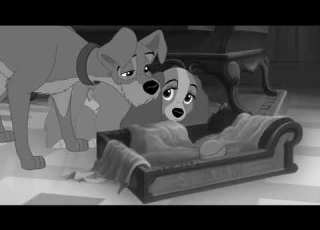  Disney My Immortal Evanescence