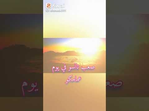 كلكو تمامكم كلامكم يعني مش معمول حسابكم كلكو تمامكم كلامكم يعني مش معمول حسابكم