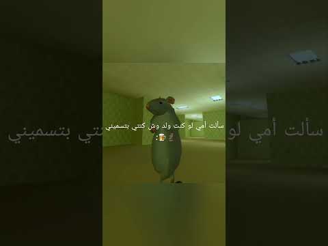 انا جبنة رومي وانتي جبنة حادأ