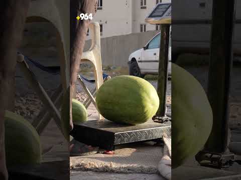 دەچنە لای شوتی فرۆشێک و تەنیا لەبەر راستگۆییەکەی شوتییەکی لێدەکڕن