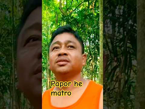 Papor He Matro Song Dance Cover Music Coversong Newsong Shortsvideo