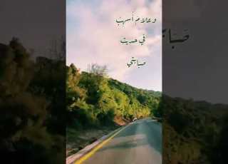  قلبي الذي أودعته نبض الهوى بصوت المنشد Azizaltowaim