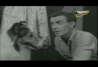 Lassie 9x08 The Nest