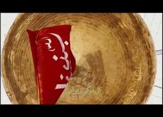  مهدي العبودي على جنح الطير متباركين بولاده السيده زينب