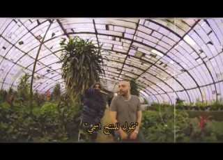 أبيوسف حالات واتس راب يح Abyusif YA7