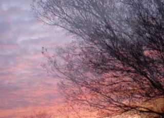 CHERISH THE DAY SADE LYRICS