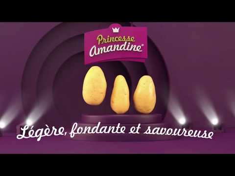 Princess Amandine Monday Tuesday Wednesday Princesses Advertisement 0 15