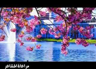 مراعاة مشاعر الناس
