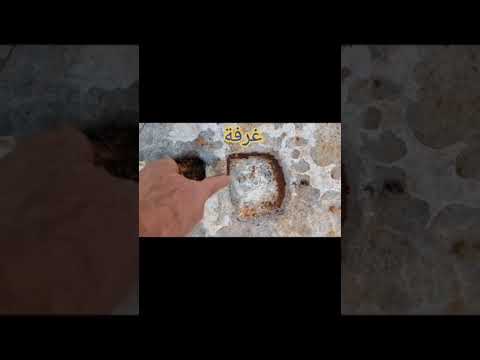 تحليل إشارة جرن و مربع بينهما سيال كنوز معلومات معلومة تحليل إشارة جرن و مربع بينهما سيال كنوز معلومات معلومة