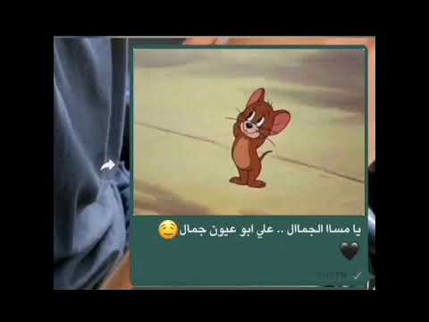 يا مسا الجمال جنات حالات واتس اب