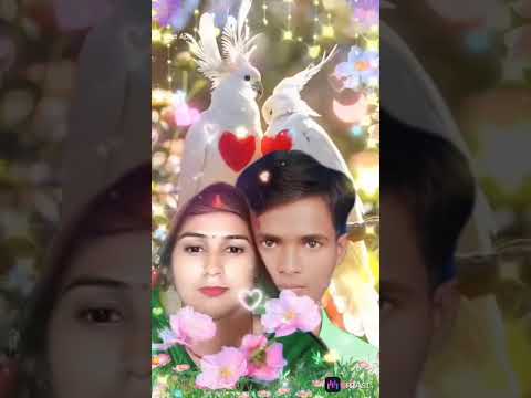 Sanjay Kumar Amolava