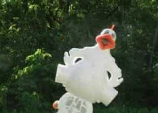  Chicken Limbo Paintball