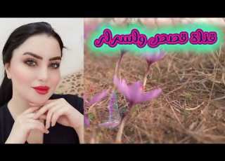 قصه صاحب ابني قصه رائعه