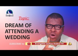  Dreams Of Attending A WEDDING Ceremony Preparing For Wedding Spiritual Meaning