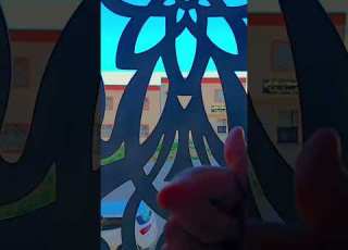  رميتكم في سلة