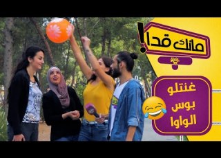 تحداهن يغنوا ويقلدوا الببغاء بس بالأخير اكل لفيه النصيب