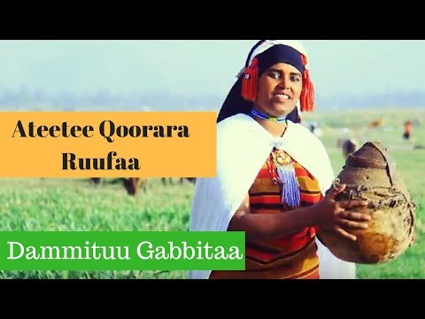 Dammituu Gabbitaa Ateetee Qoorara Ruufaa New Oromoo Music Video 2018