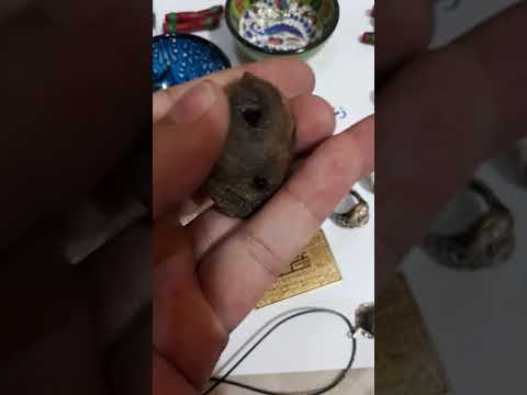 فرج الضبعه للنكاح والفساد والطاعه وعقداللسان والطاعه 07707684165