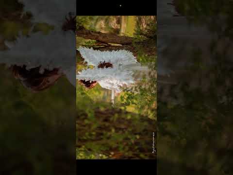 جلسة أنت الملكة