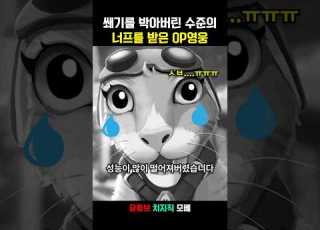 출시 이후부터 지금까지 너프만 당한 영웅