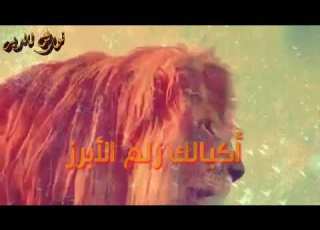  قبالك زلم الابرز