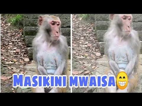 MWAISA HISTORY YA MAREHEMU