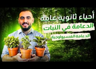  المحاضرة الأولى الدعامة في النبات أحياء ثانوية عامة 2025