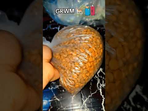 جاني فراقهم صعب أشنو كنحتاج لسكاي فسفر Cat قطط Catlover Pyf Explore Shortvideo