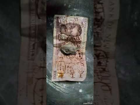 SIRIN SINTUWAR KUDI 233542095535