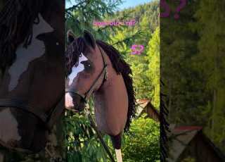  9 Time Flies Hobbyhorseedit Horse Howoldi M