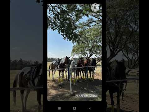 Aqwaal E Zarrin اقوال زرین