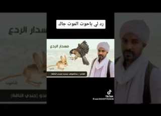  الشاعر جندي الناقه