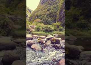  فيروز يا أمي ما بعرف HD