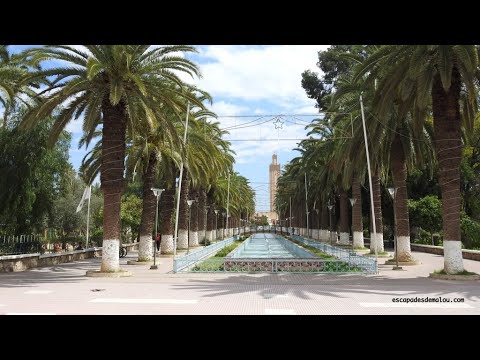 LGHADI WAHDOU HOUARI STYLE 2021 ORIGINAL