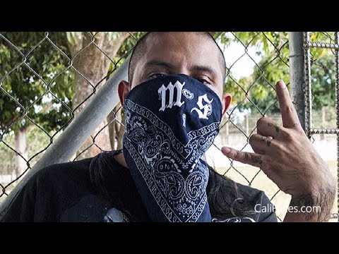 5 Biggest Mexican Gangs In Los Angeles