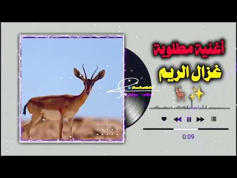 غزال الريم ليبيا ليبيا طرابلس مصر تونس المغرب الخليج تصميم فيديوهات اليمن زوامــــــل من ا