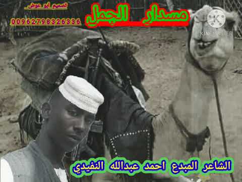 الشاعر احمد عبد الله النفيدي