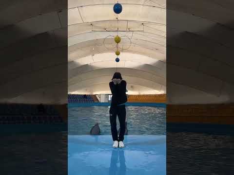 Party At The Beach Copa Yoga Dance Copacabana Dance Viral Trending Shorts Animals