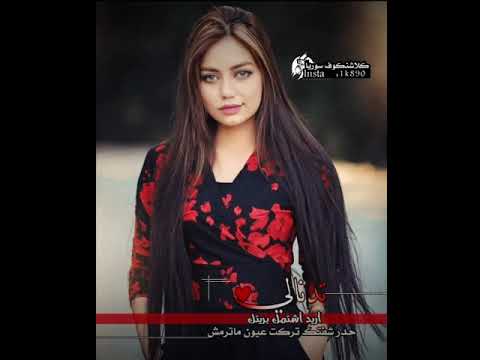 اجمل ما رأت عيني