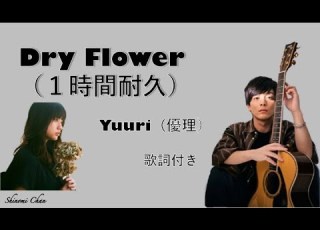  Dry Flower ドライフラワー 優理 Yuuri １時間耐久 歌詞付き