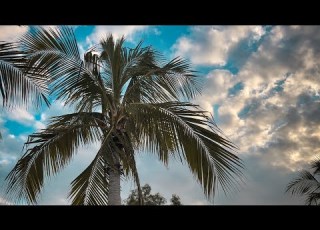 نسیم هوت وهد همودا رستگ Nasim Hoot Wahd Hamooda Rastag Balochi Song