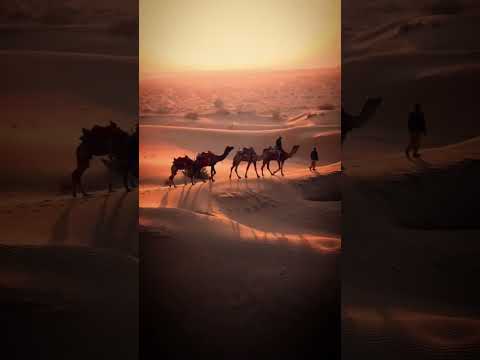 Beautiful Arabian Music Arabian Night Middle Eastern Instrumental Music