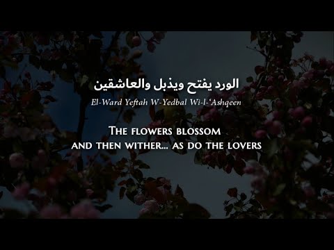Naima Dziria El Muqneen Algerian Arabic Lyrics Translation نعيمة الجزايرية المقنين الزين