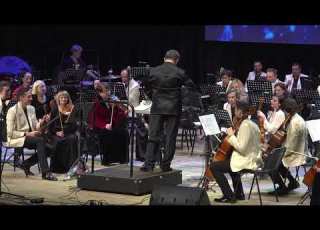 BGSO В лесу родилась ёлочка