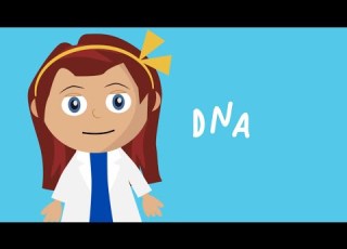  Science For Kids What Is DNA