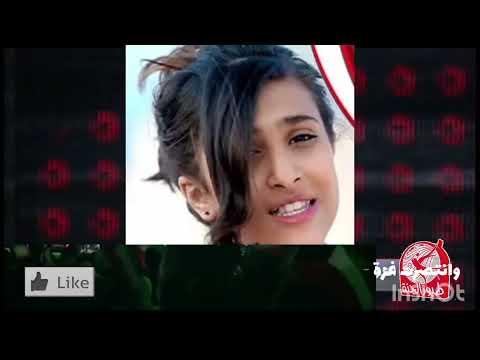 الوصلة الكويتية 4 ليالي فبراير Toyor Al Janah