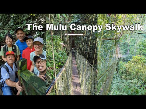 The Mulu Canopy Skywalk Sarawak
