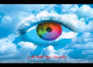 هطلت غيوثك محمد المقيط